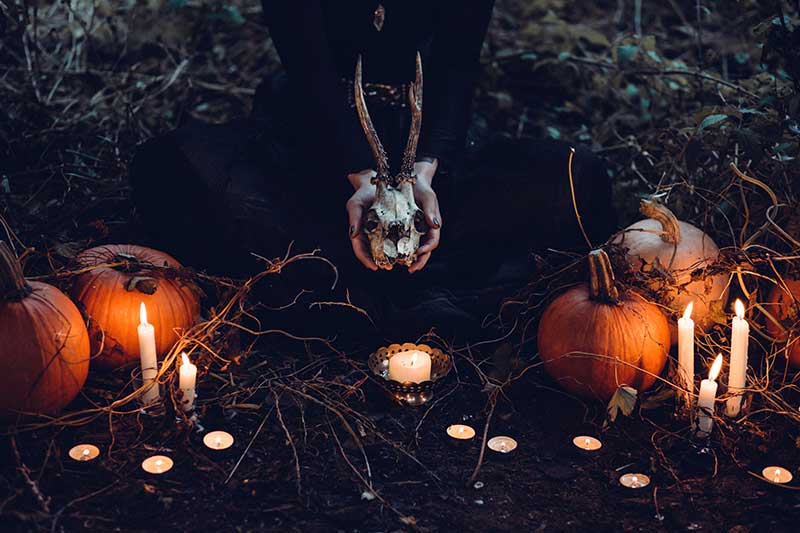 Candles and pumpkins in a forest