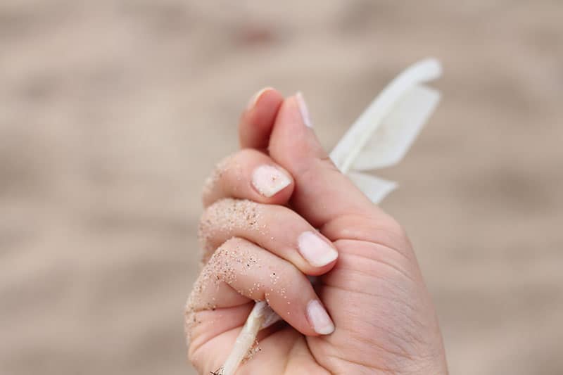 A hand holding a feather