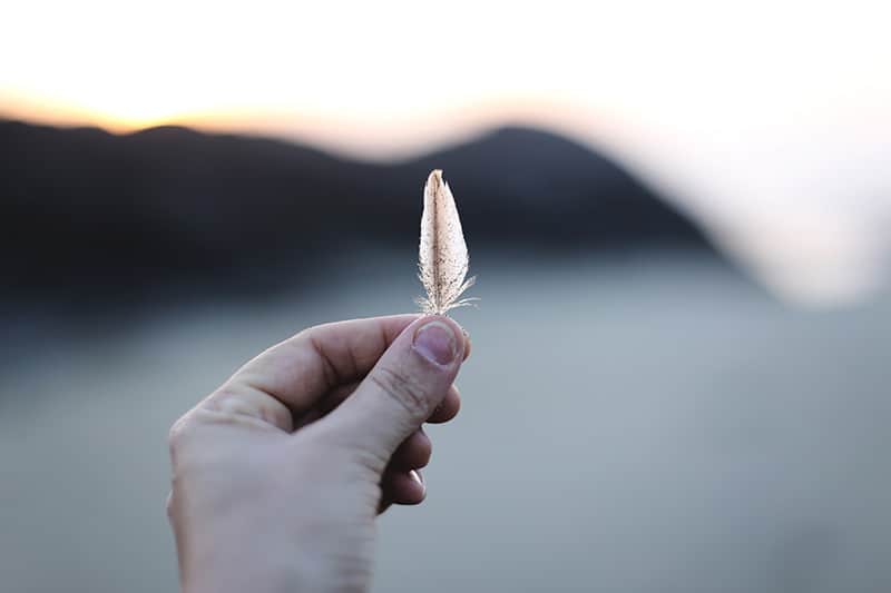 A hand holding a feather